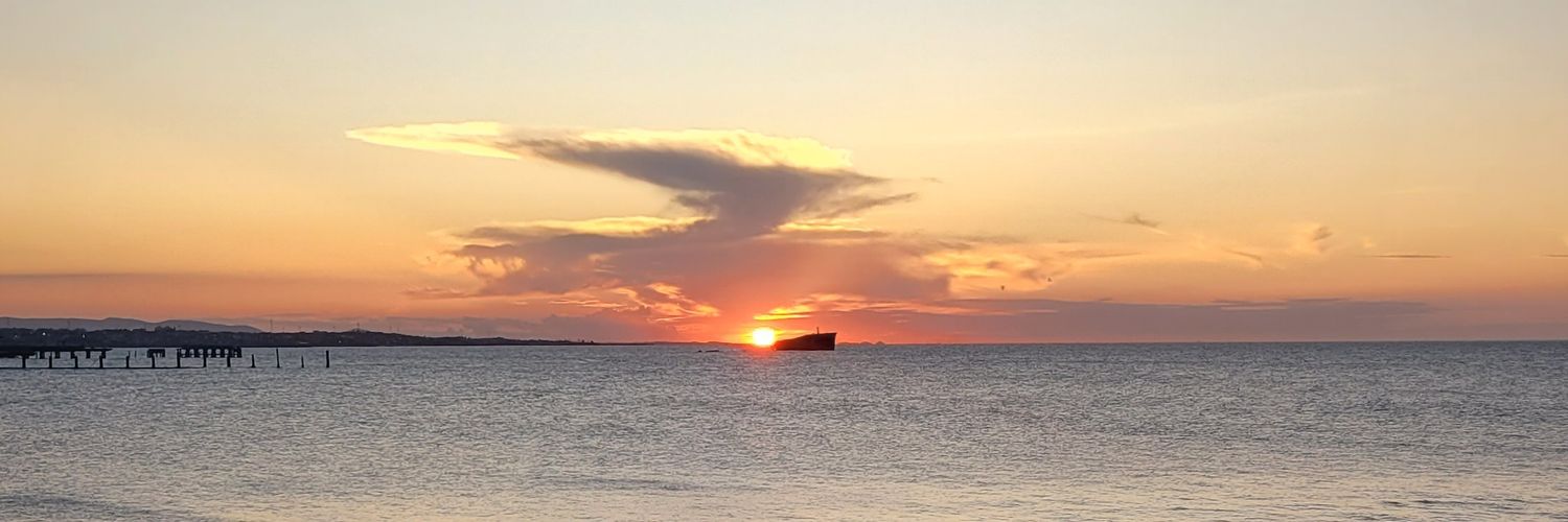 marydoida9's profile banner image