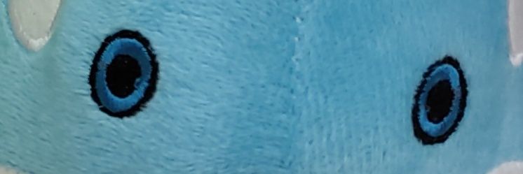 Alexander Shiachoque banner
