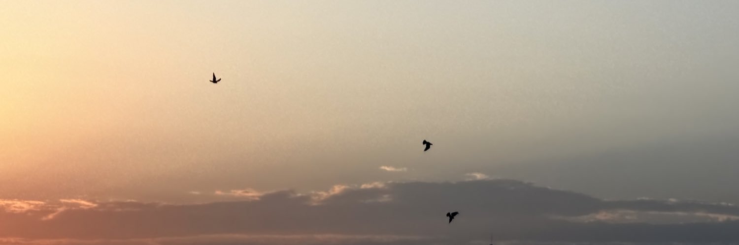 هند السبيعي banner