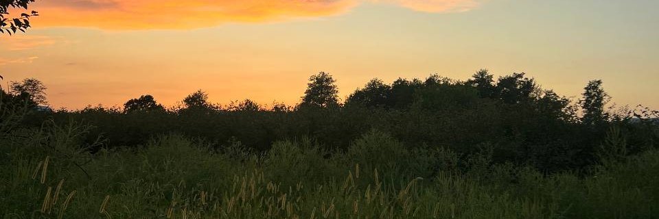 A085222's profile banner image