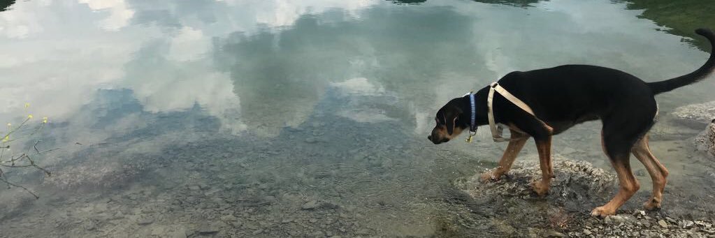 Edman73's profile banner image