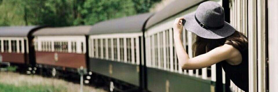 dilya1184's profile banner image