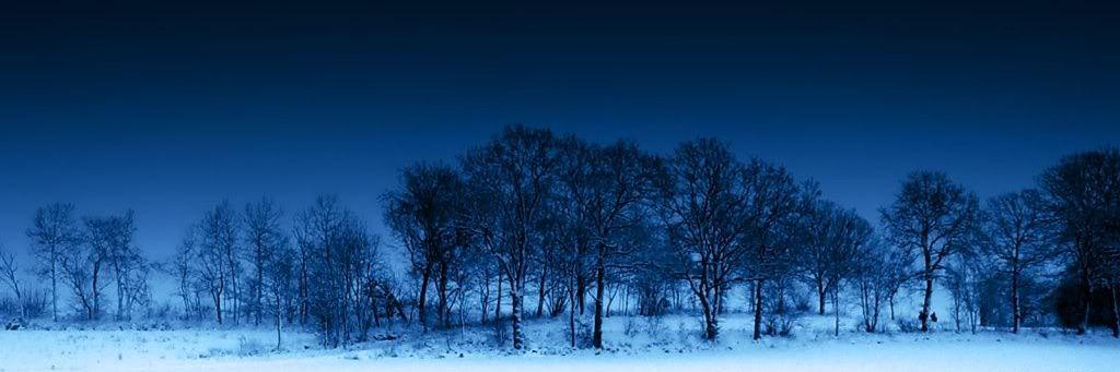 Midori Chachico banner