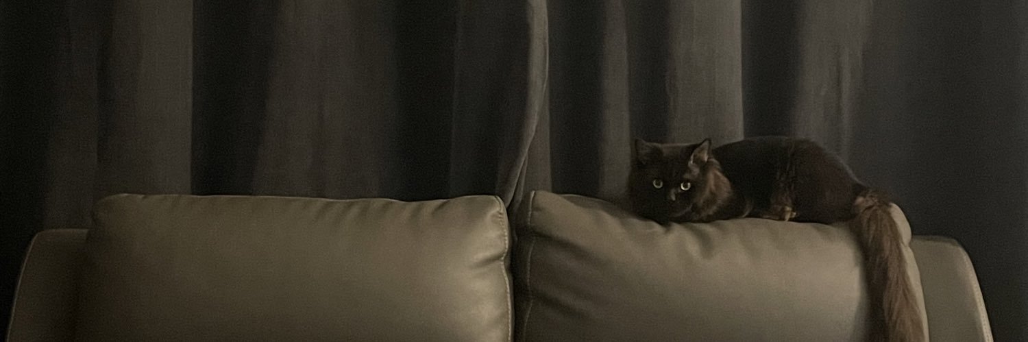 itscatto_'s profile banner image