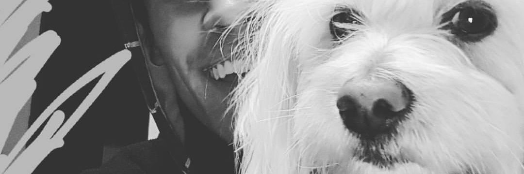 LeeoSassone's profile banner image