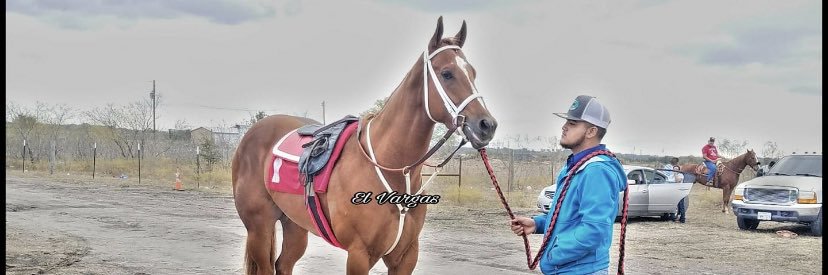 canales214's profile banner image