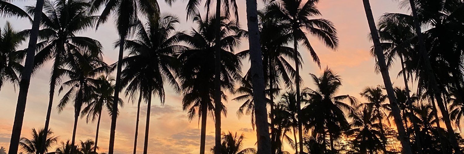 vecinahanney's profile banner image