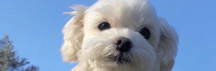 MMirella_S's profile banner image
