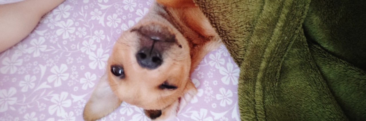 danicsa_'s profile banner image