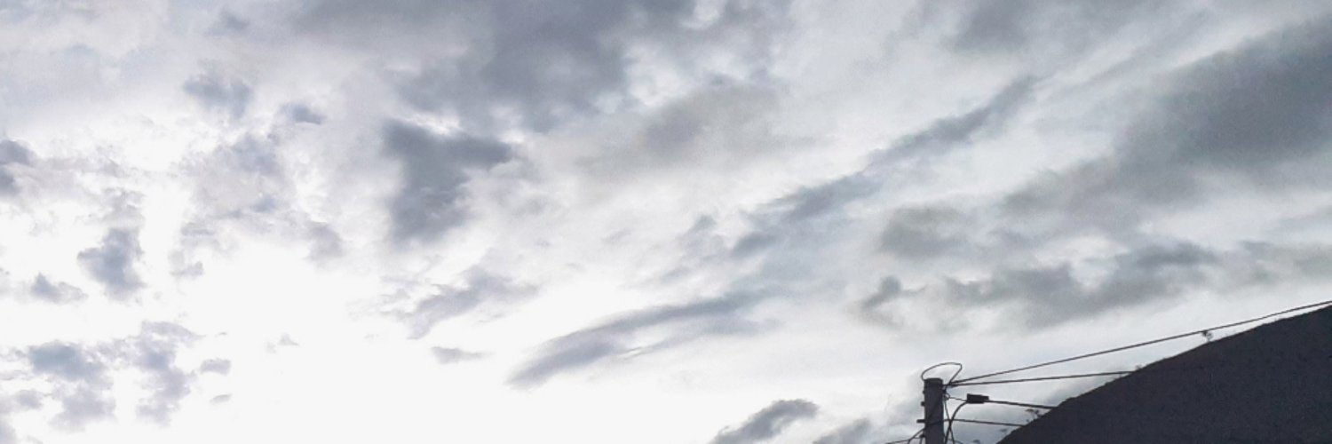 udaldin's profile banner image