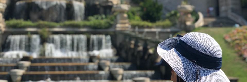 AsmaaSOE's profile banner image