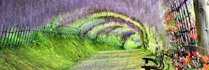 samarthraval27's profile banner image