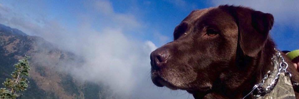 WilsonJaylan's profile banner image