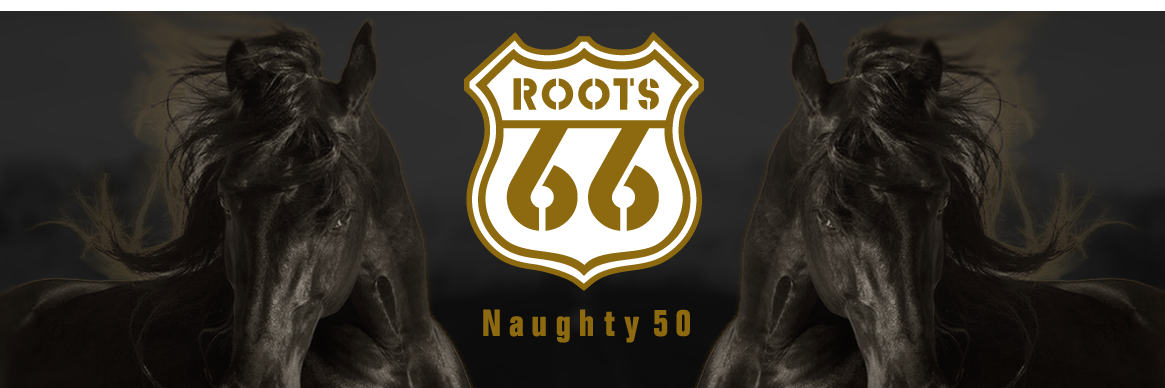 ROOTS66jp's profile banner image