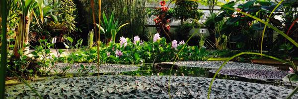 MLeaconnally Profile Banner