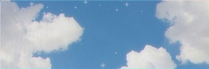 sherly banner