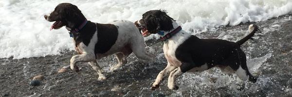 kimbob133 Profile Banner