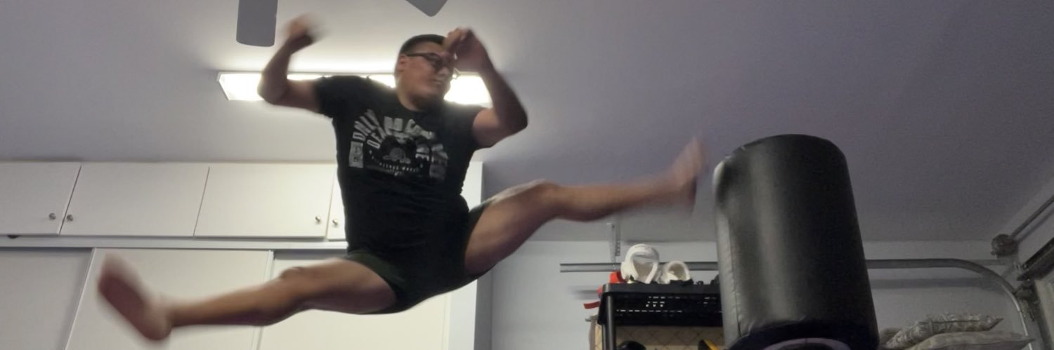 AlonsDa5Pointr's profile banner image