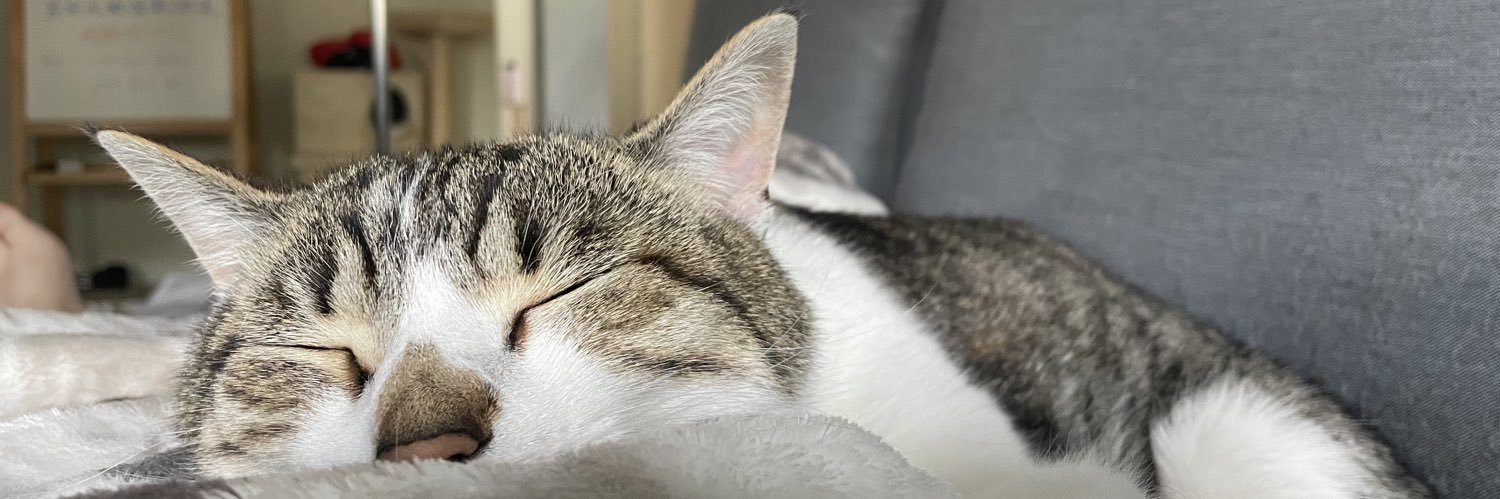 Stellar_Rei's profile banner image