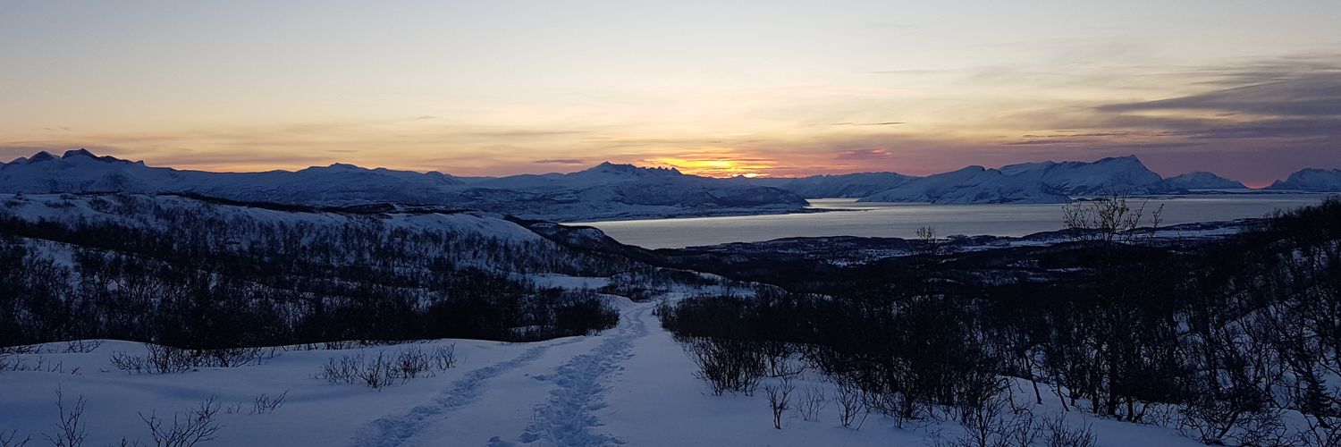 CaponTrevor's profile banner image