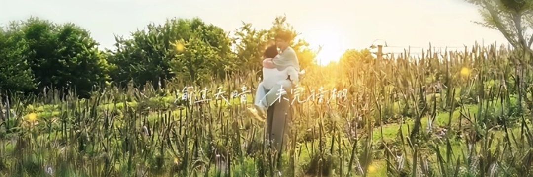 solstice_shua's profile banner image