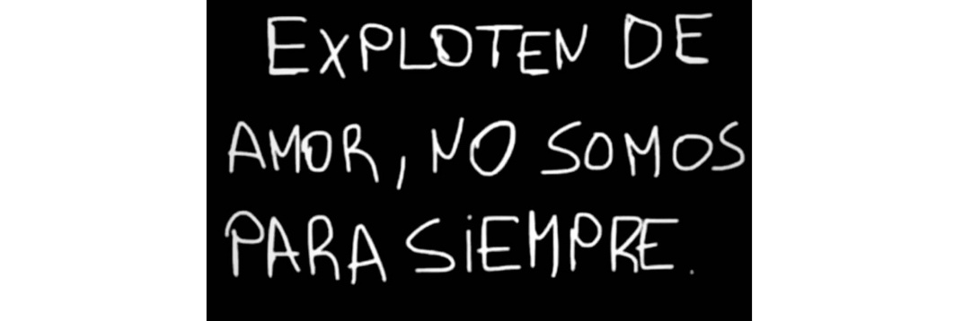 Maca Roldán banner