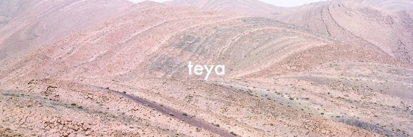 teyadavid's profile banner image