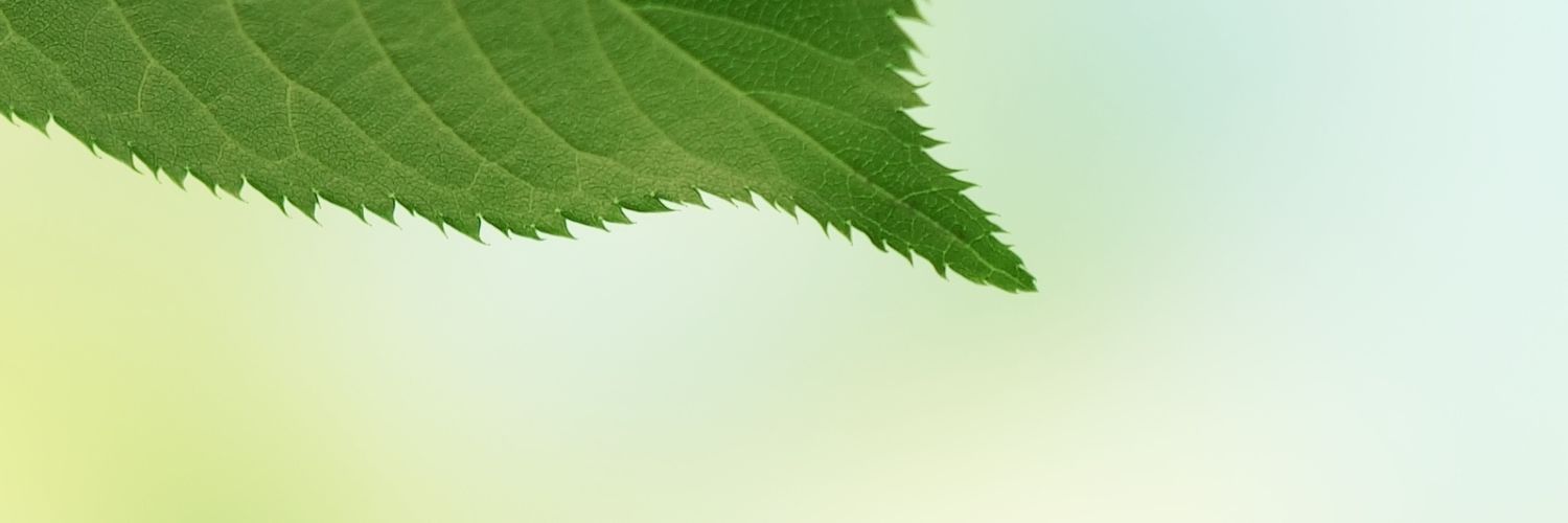 tarobikkuri's profile banner image