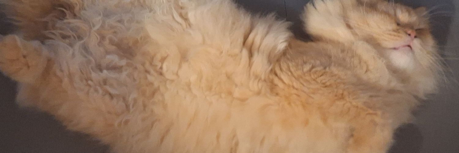 myeeeluv's profile banner image