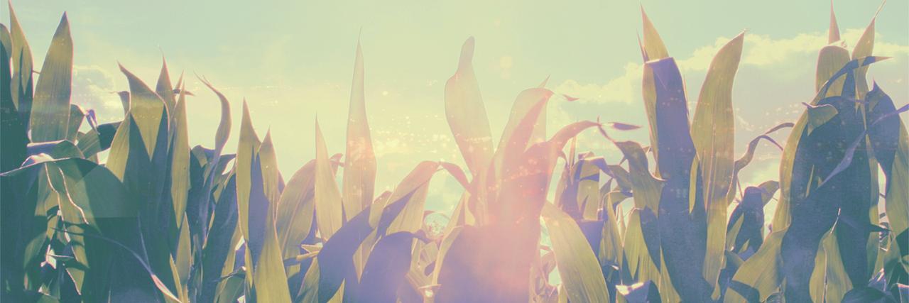 Adeline Viaud banner