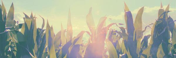 Adeline_Viaud Profile Banner