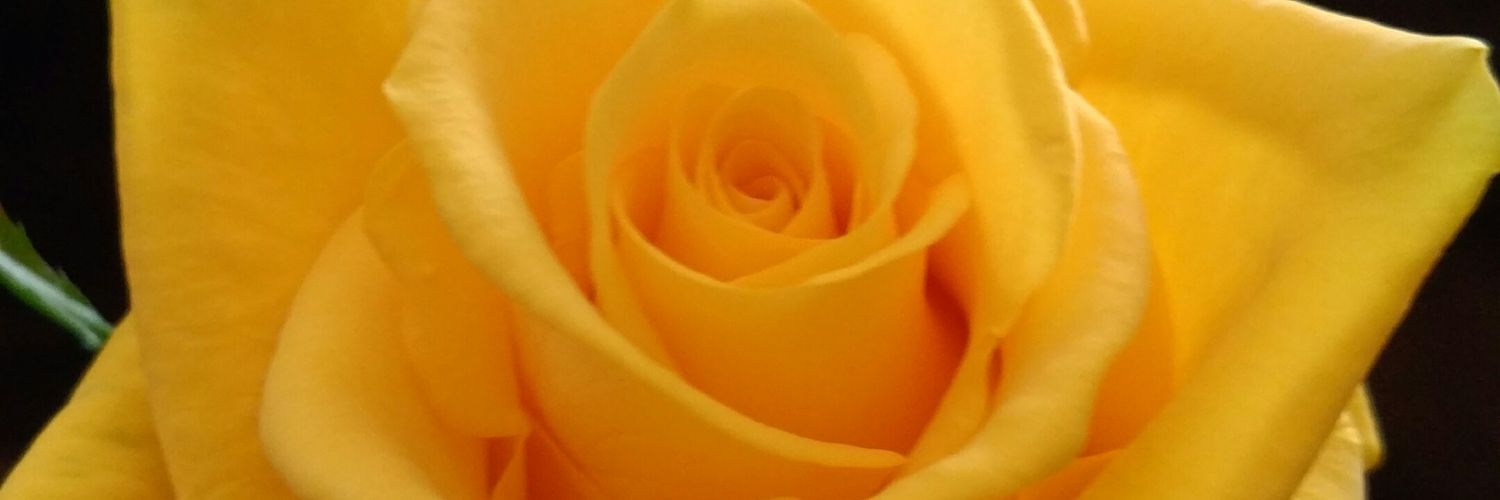 snoopyxran's profile banner image