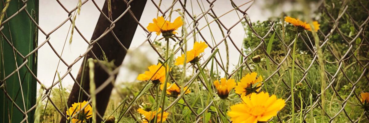 keity131's profile banner image