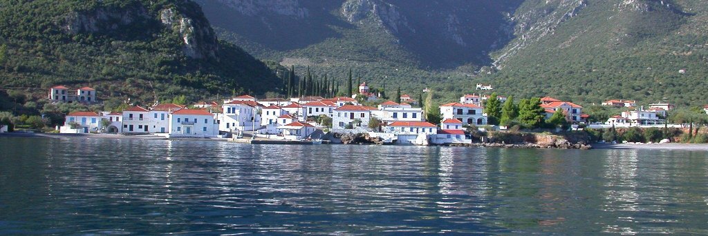 David Chojnacki banner