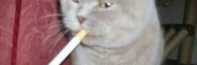 Beaast_'s profile banner image