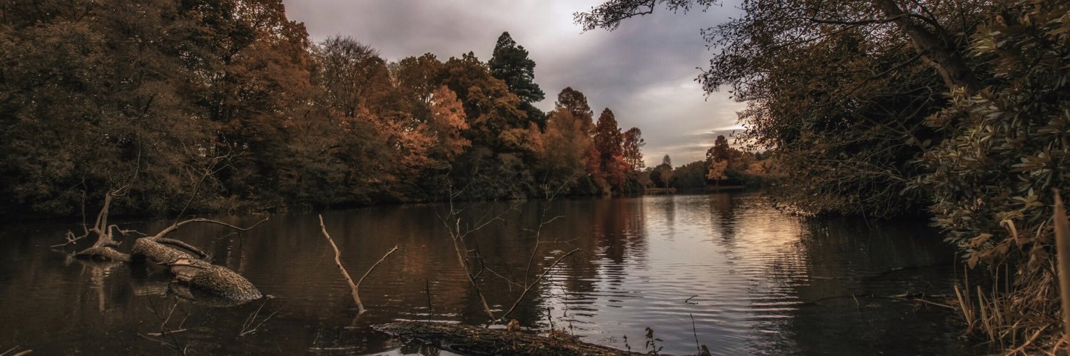 SamPelling's profile banner image
