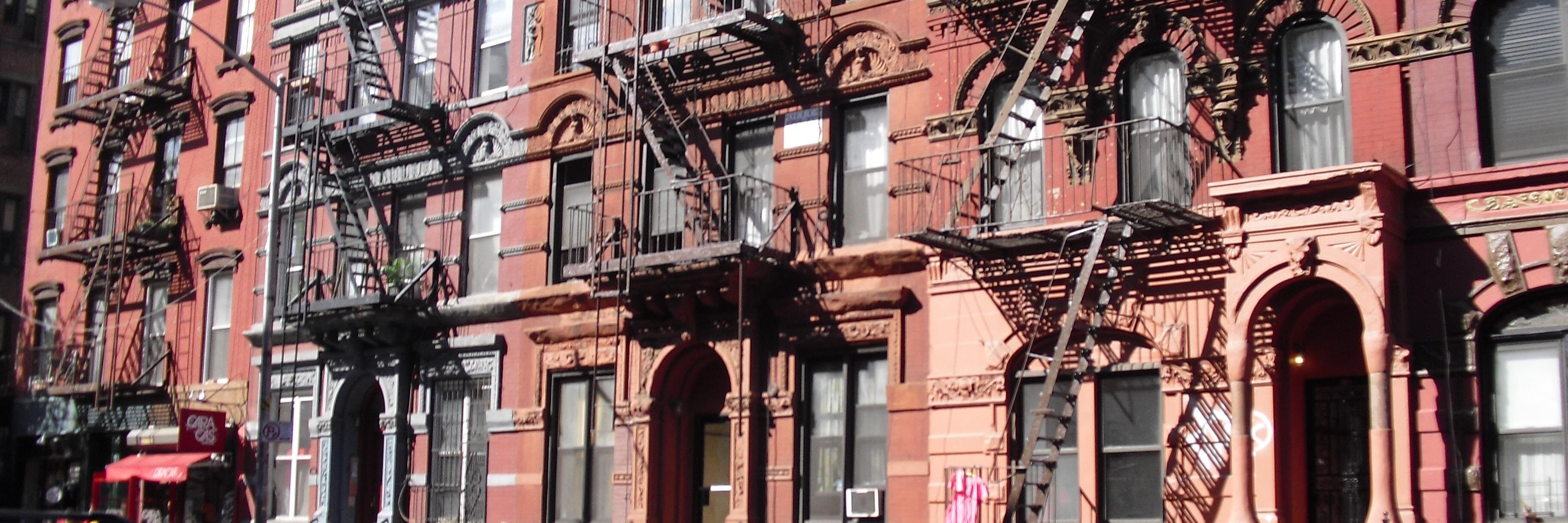 Paola Podesta banner