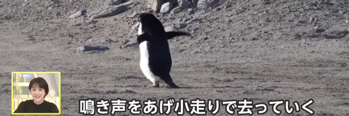 むらき（低浮上） banner