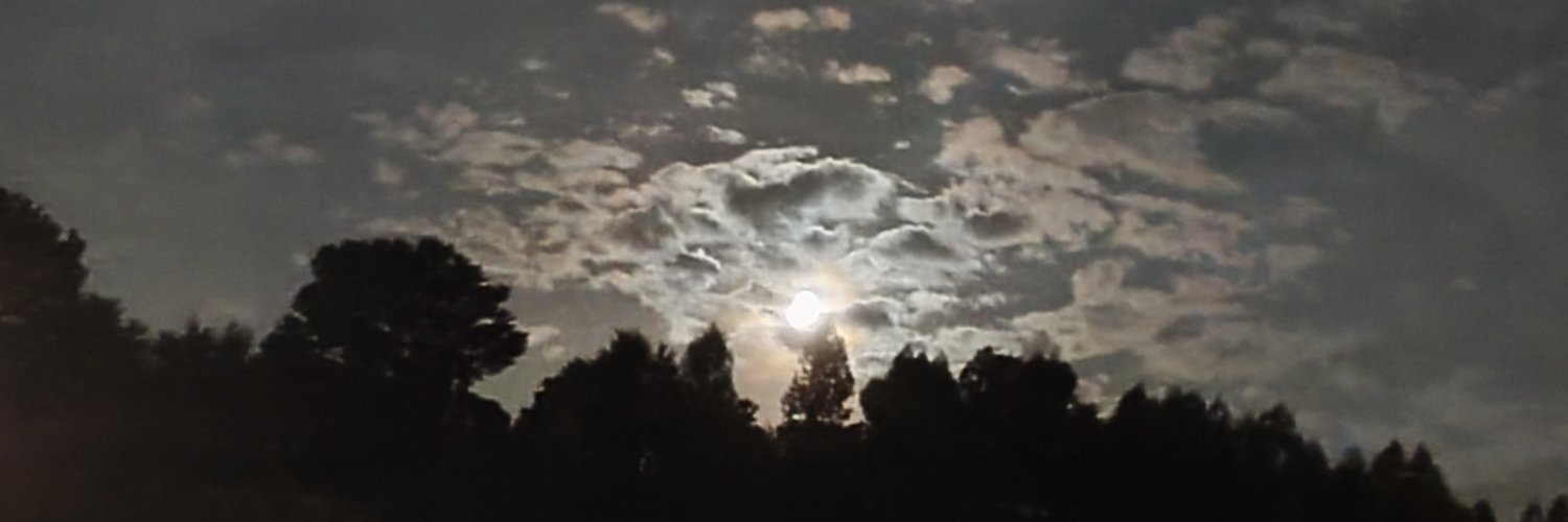 ElenaACVR's profile banner image