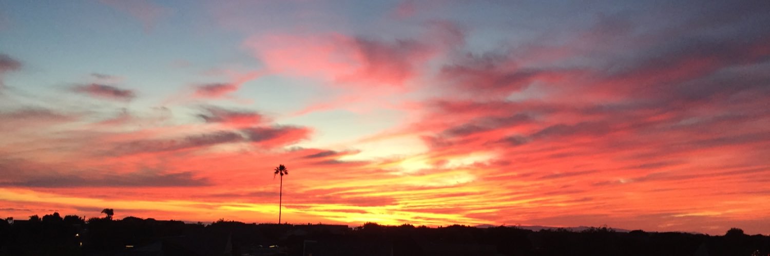 Geoff Dunlevie banner