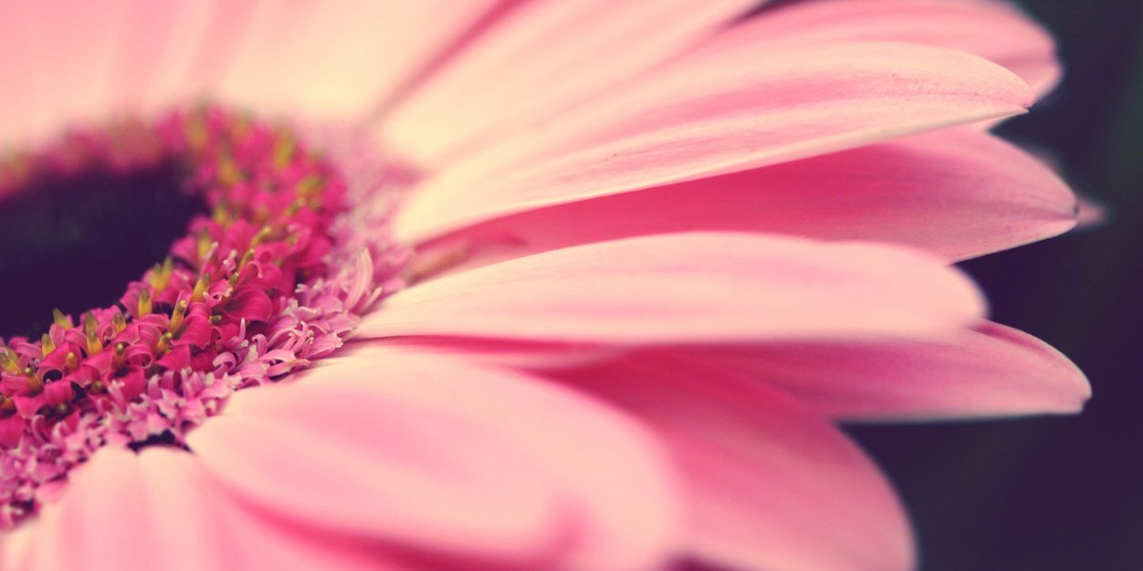 gemmatong's profile banner image