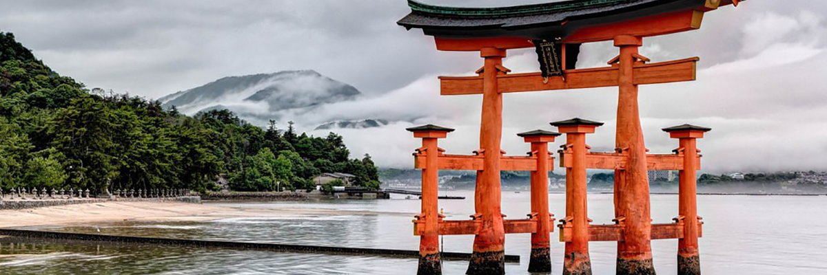 Colin Cesvette banner