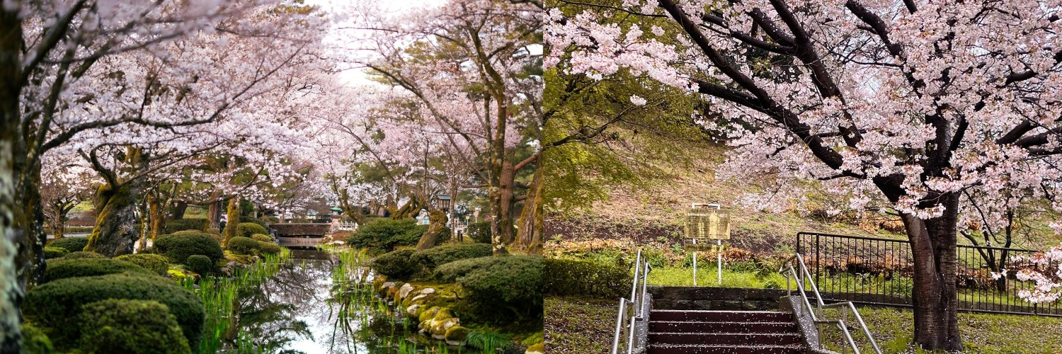 𝘈𝘙𝘌𝘕 𝘓𝘈𝘙𝘈𝘚𝘞𝘐𝘛𝘈 banner