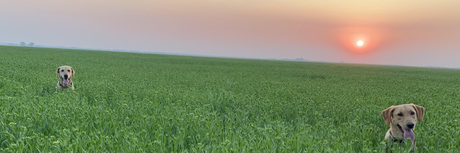 toussaintnick2's profile banner image