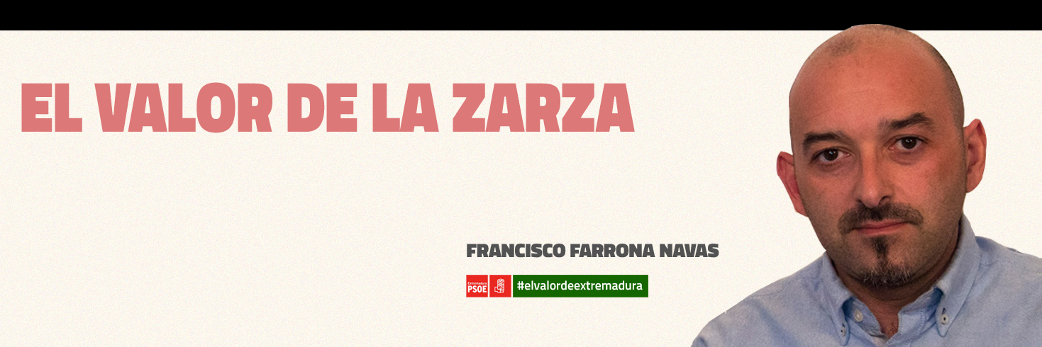 PSOELaZarza's profile banner image