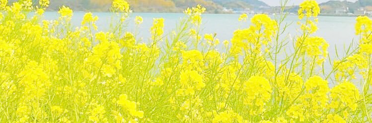 _______Blume's profile banner image