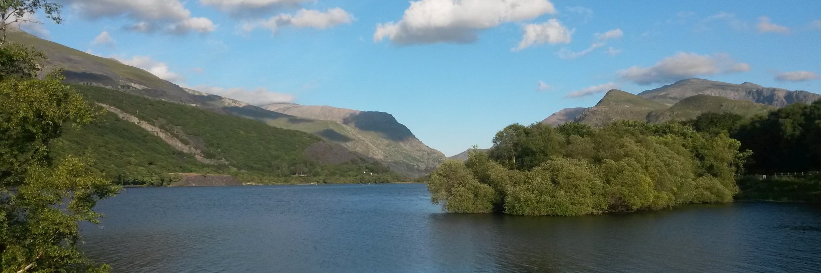 Dr Sofia Strommer banner