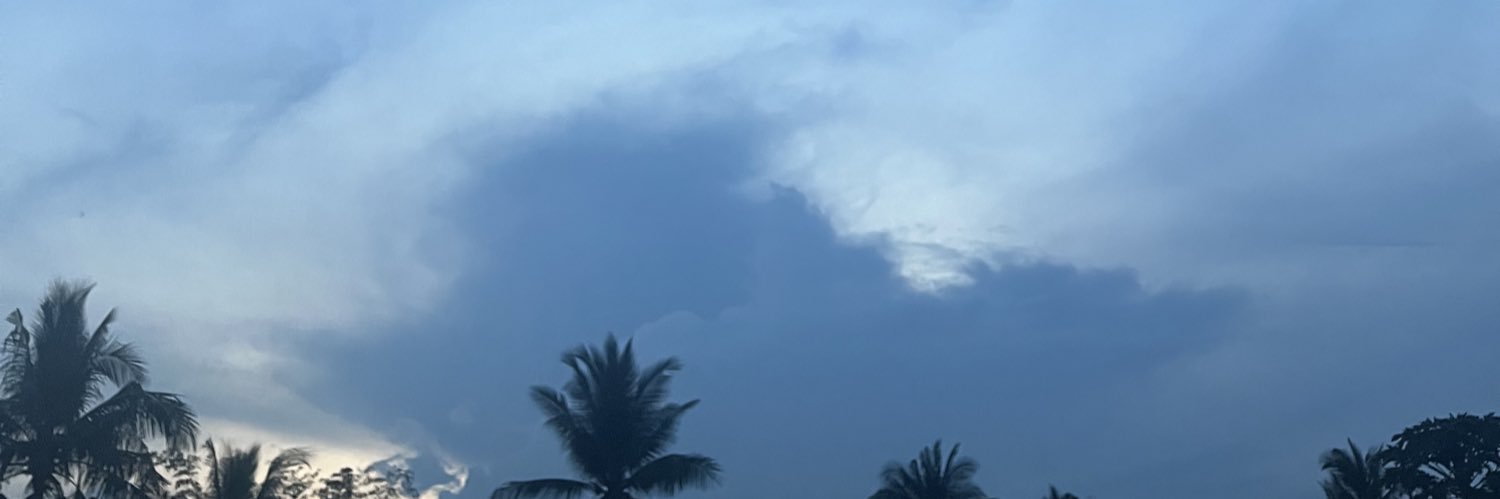 iamhippooo's profile banner image