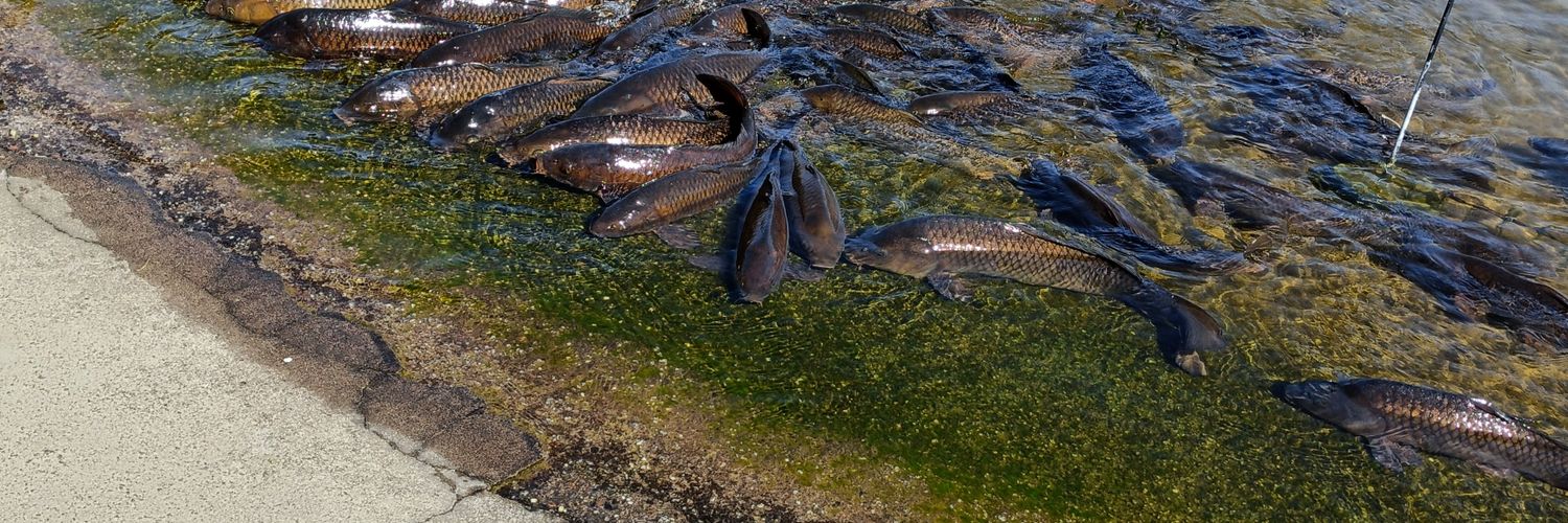 yaken@NBKJ7DOMLWAPYYZT7GEFSN5WLHRS3NMN7I4CXZA banner