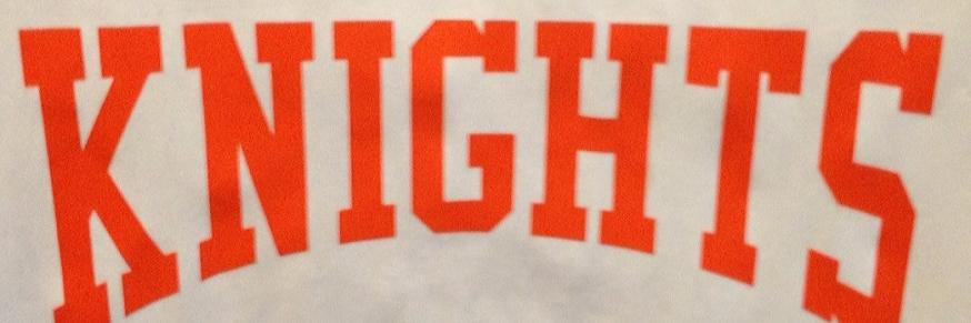 SWLA Knights banner
